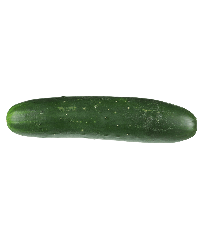 Bauerngurke-online-kaufen-liefern-Karlsruhe-Früchtepost