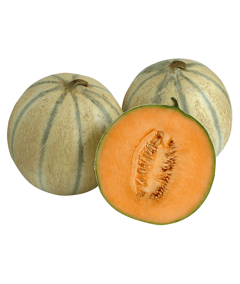 Charentais-Melone-online-kaufen-liefern-Karlsruhe-Früchtepost