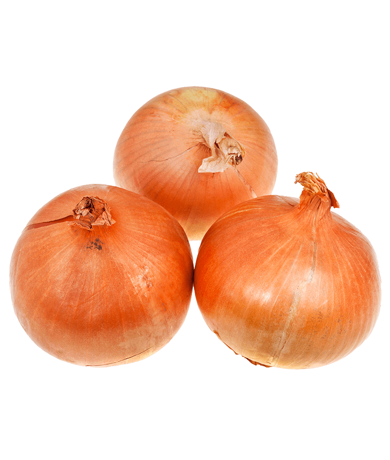 Gemüsezwiebel-online-kaufen-liefern-Karlsruhe-Früchtepost