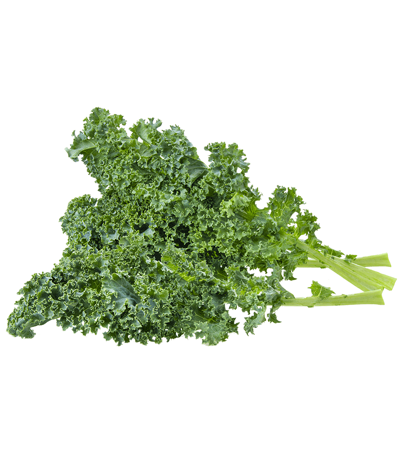 Grünkohl-online-kaufen-liefern-Karlsruhe-Früchtepost