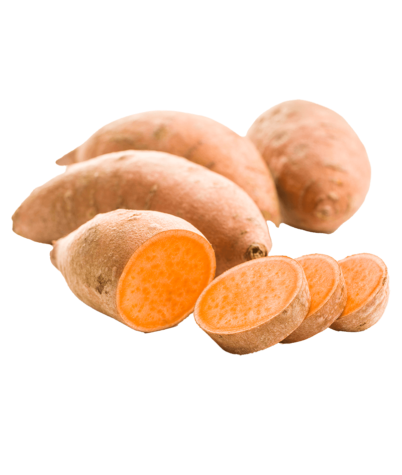 KartoffelSüßkartoffel-online-kaufen-liefern-Karlsruhe-Früchtepost