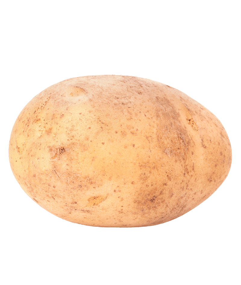 KartoffelVorwiegendeBerber-online-kaufen-liefern-Karlsruhe-Früchtepost