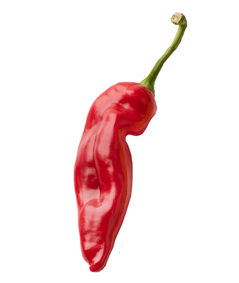 SpitzpaprikaRot-online-kaufen-liefern-Karlsruhe-Früchtepost