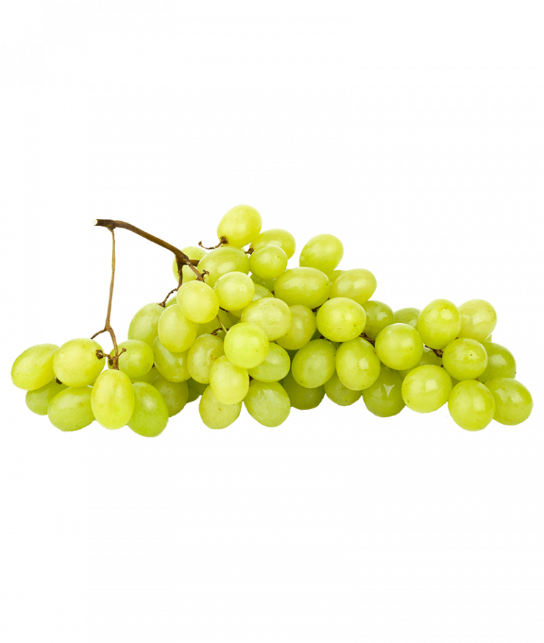 Kernlose weiße Trauben kaufen | Früchtepost Karlsruhe